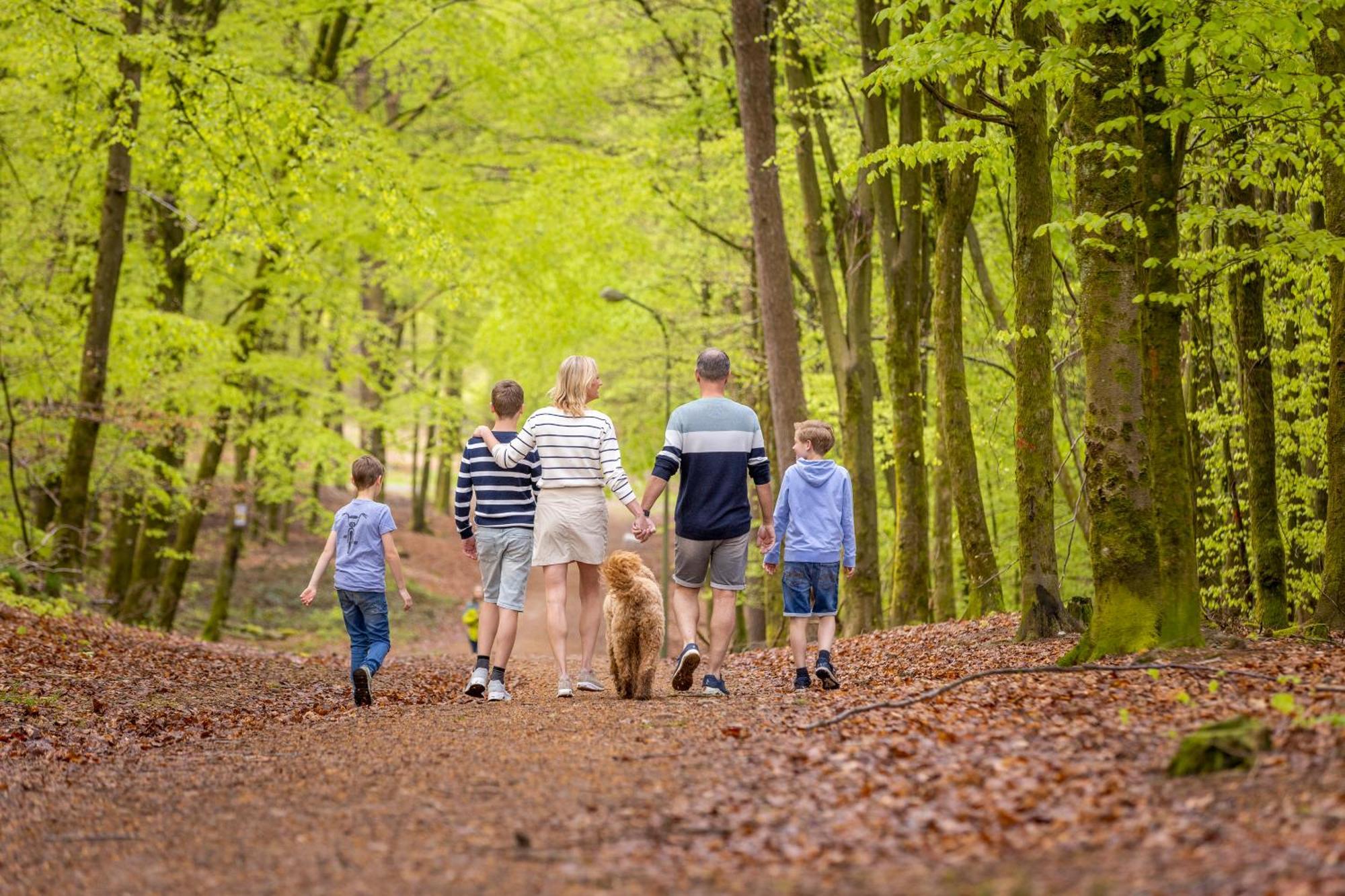 Ardennen Camping Bertrix Exteriér fotografie